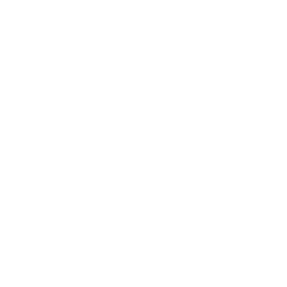 Toldo Foundation